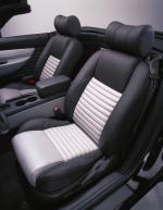 Ford Thunderbird Neiman Marcus Edition 2002 года